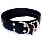 Studded Leather Collar Sex Toy